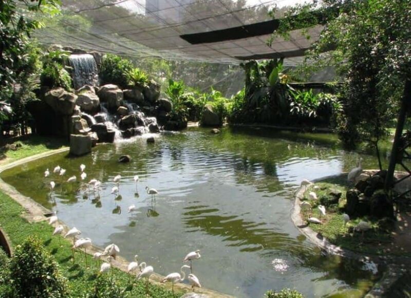 Kuala Lumpur: Bird Park, Butterfly & Garden Private Tour - Key Points