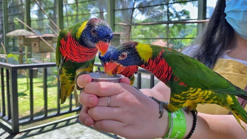 Kuala Lumpur: Bird Park Day Ticket & 1-Way Transfer - Authentic Experiences from Other Travelers
