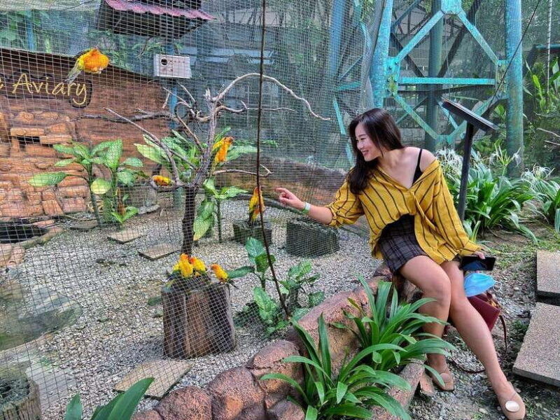 Kuala Lumpur: Bird Park Day Ticket & 1-Way Transfer - Who Will Love This Tour?