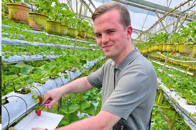 Kuala Lumpur: Cameron Highlands & Batu Caves Private Day Tour - Exploring Batu Caves