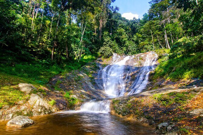 Kuala Lumpur: Cameron Highlands & Batu Caves Private Day Tour - Final Thoughts: Why Choose This Tour?