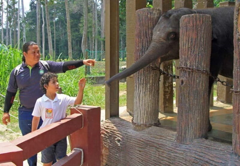 Kuala Lumpur Day Tour: Batu Caves & Elephant Sanctuary - Detailed Breakdown of the Experience