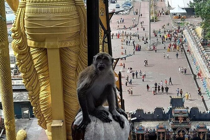 Kuala Lumpur Full Day City Tour Cruise Excursion from Port Klang - FAQs