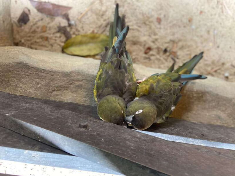 Kuala Lumpur: Sunway Lagoon Ticket & 1-Way Transfer - Final Thoughts: Is It Worth It?