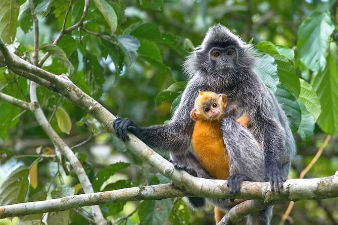 Kuala Lumpur's Famous Spots: Private Day Tour - Final Thoughts