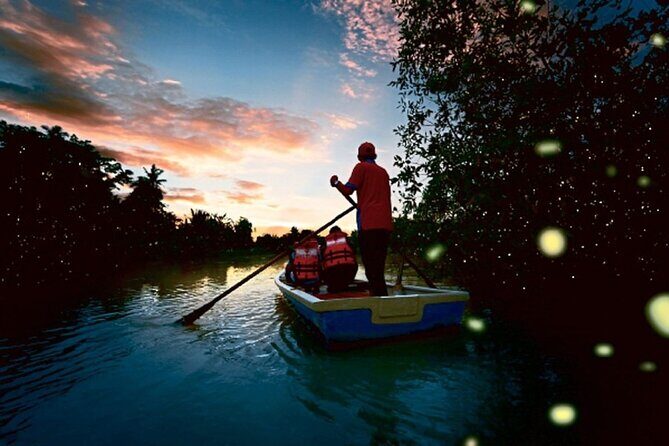Kuala Selangor Firefly Tour From Kuala Lumpur - The Sum Up