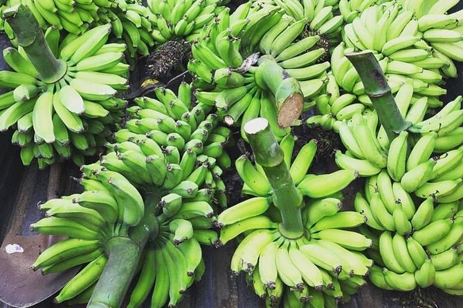 Kualoa Ranch - Kualoa Grown Tour - Final Thoughts