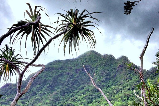 Kualoa Ranch: Novice E-Bike - The Sum Up