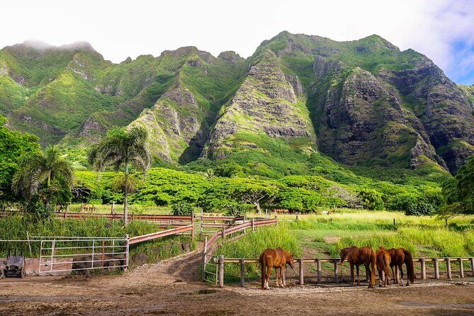 Kualoa Ranch: Ocean Voyage Tour - Key Points