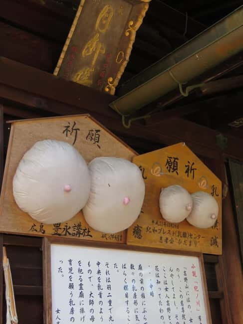 Kudoyama: Foot of Koyasan Historical Town Cycling Tour - Final Thoughts: Who Is It For?