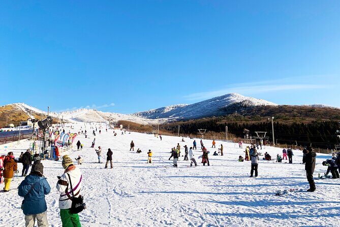 Kuju Forest Park Skiing Grounds Day Tour from Fukuoka - A Quick Look at the Kuju Forest Park Skiing Grounds Day Tour from Fukuoka
