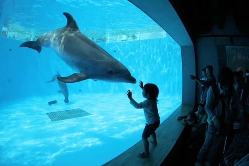 Kujukushima: Aquarium Umikirara Admission Ticket - Experience the Marine Wonders of Kujukushima at Umikirara Aquarium