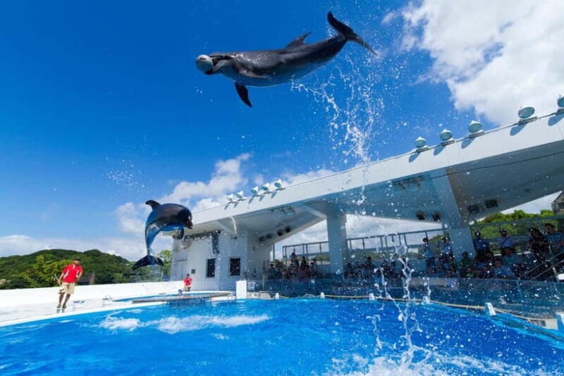 Kujukushima: Aquarium Umikirara Admission Ticket - Who Will Love This Experience?