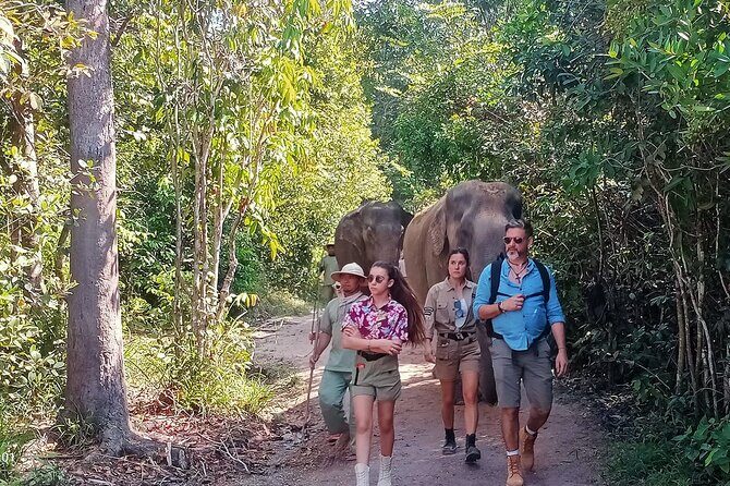 Kulen Elephant Forest and Tonle Sap Lake by Private Tour - Key Points