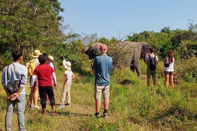 Kulen Elephant Forest and Tonle Sap Lake by Private Tour - A Deep Dive into the Experience