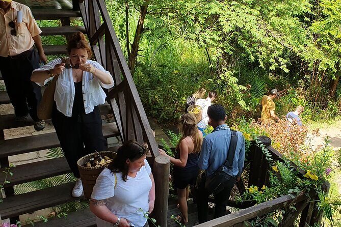 Kulen Elephant Forest & Kampong Phluk by Private Tour - Final Thoughts