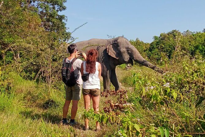 Kulen Elephant Forest & Tonlesap Lake - Trekking Through the Jungle