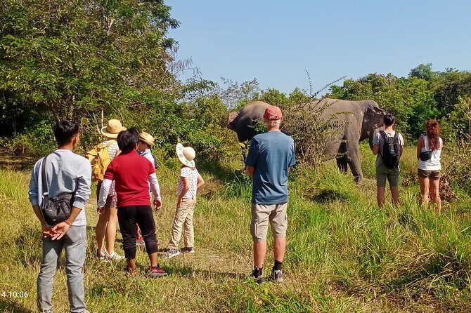 Kulen Elephant Forest & Tonlesap Lake - What We Like and What to Consider
