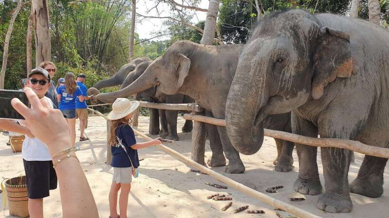 Kulen Elephant Forest & Tonlesap Lake - Who Will Love This Tour?