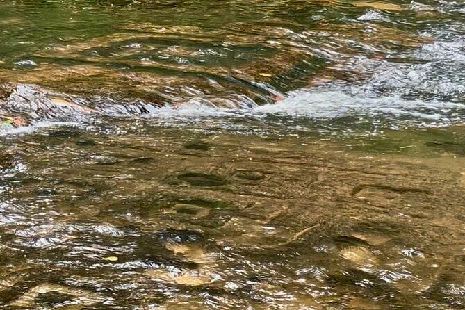 Kulen Mountain Waterfalls the National Park - FAQ