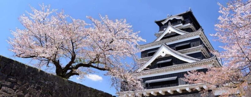 Kumamoto: Castle Admission Ticket - Exploring Kumamoto Castle: A Closer Look