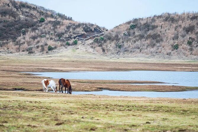 Kumamoto Castle Kusasenri and Aso Crater Tour in Fukuoka/Kumamoto - Final Thoughts