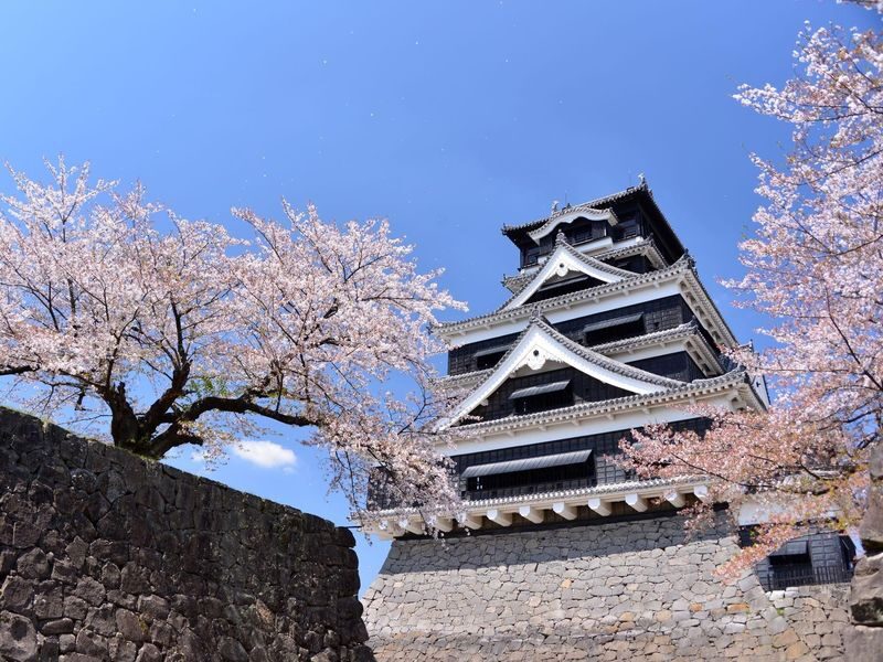 Kumamoto Castle Ticket - Key points before you go