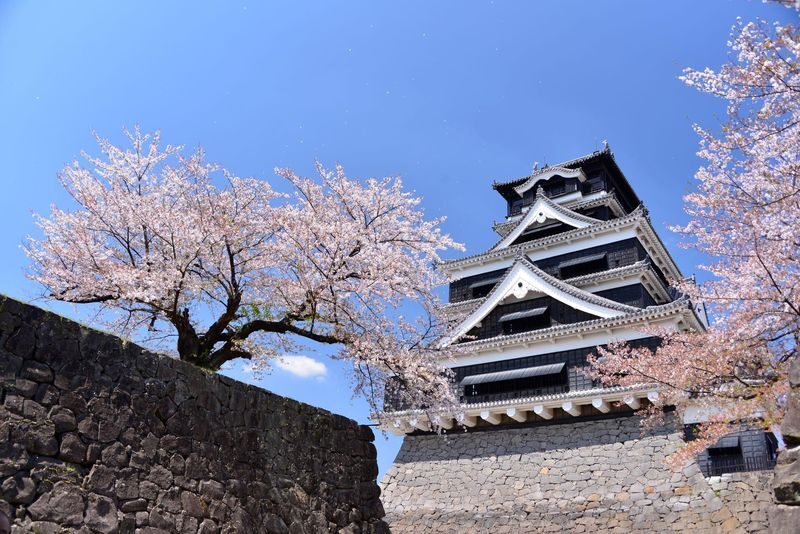 Kumamoto Castle Ticket - Read the earthquake repairs as part of the visit