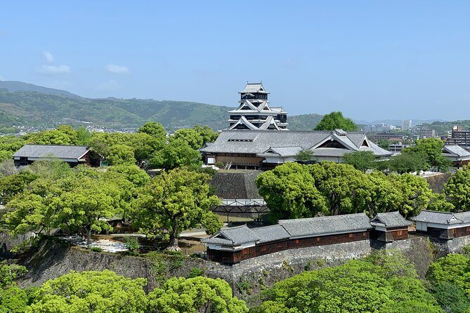 Kumamoto Castle Walking Tour with Local Guide - Practical Details and Considerations