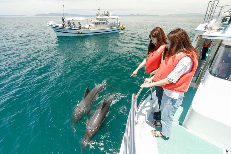 Kumamoto Departure Aso Area Chartered Car Day Tour | Kumamoto Castle | Mount Aso Crater | Kusasenri | Kamishikimi Kumanoza Shrine | Shirakawa Spring Source | Aso Shrine | Daikanbo | Nabe Falls | Kurokawa Onsen, etc. - Choose a few Aso stops, not the whole map