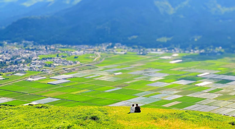 Kumamoto Departure Aso Area Chartered Car Day Tour | Kumamoto Castle | Mount Aso Crater | Kusasenri | Kamishikimi Kumanoza Shrine | Shirakawa Spring Source | Aso Shrine | Daikanbo | Nabe Falls | Kurokawa Onsen, etc. - Nine hours, extra charges and the real price