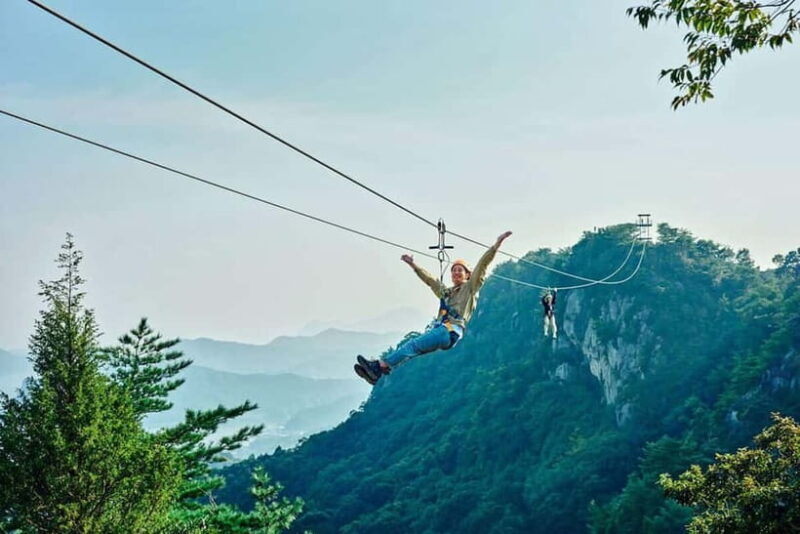 Kumamoto: Dolphin Watching and Zipline Experience Tour - Analyzing the Value