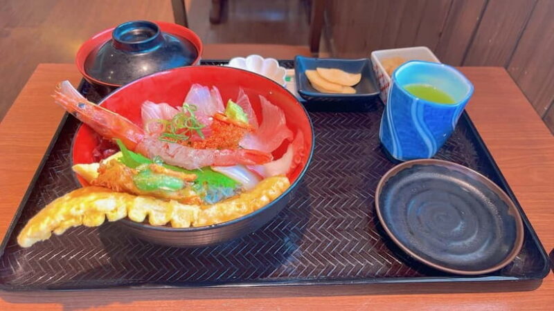 Kumamoto: Dolphin Watching and Zipline Experience Tour - Frequently Asked Questions