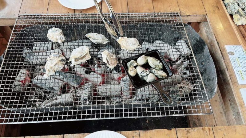 Kumamoto: Dolphin Watching and Zipline Experience Tour - Final Thoughts