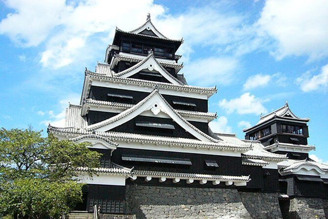 Kumamoto Full-Day Private Tour with Government-Licensed Guide - Key Points