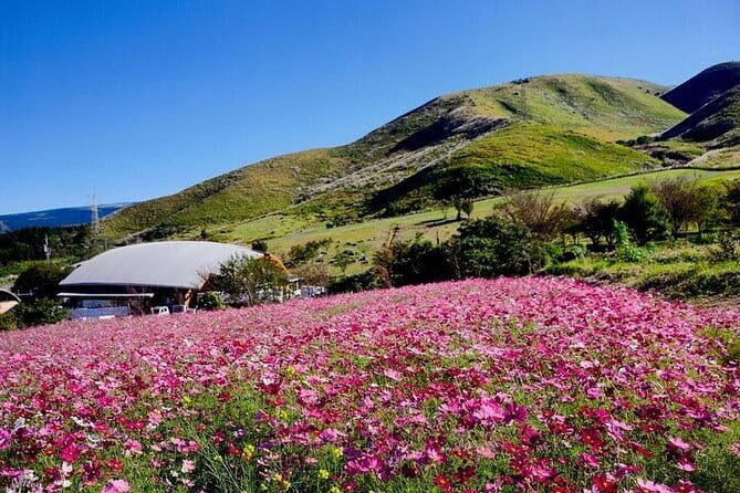 Kumamoto Iconic Statues World of Pirates Adventure Tour - Exploring the Itinerary: A Closer Look at Each Stop