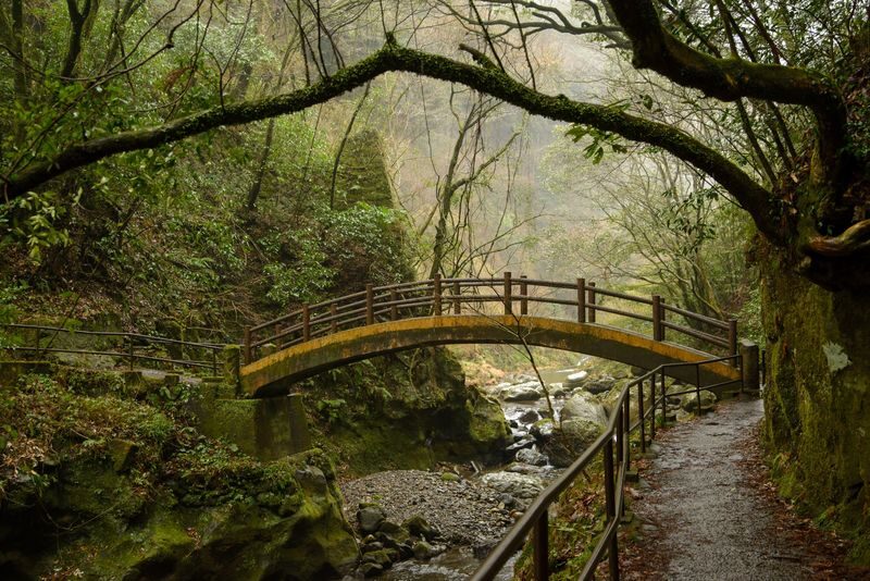 Kumamoto Mt. Aso, Kusasenri & Takachiho or Kurokawa from Fukuoka - Expect A Long Ride and A Carefully Managed Schedule