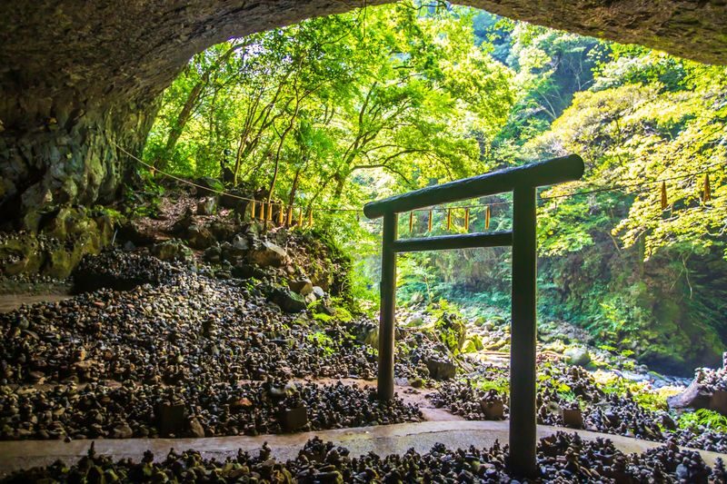 Kumamoto Mt. Aso, Kusasenri & Takachiho or Kurokawa from Fukuoka - Guides Add Context and Help Keep the Day Comfortable