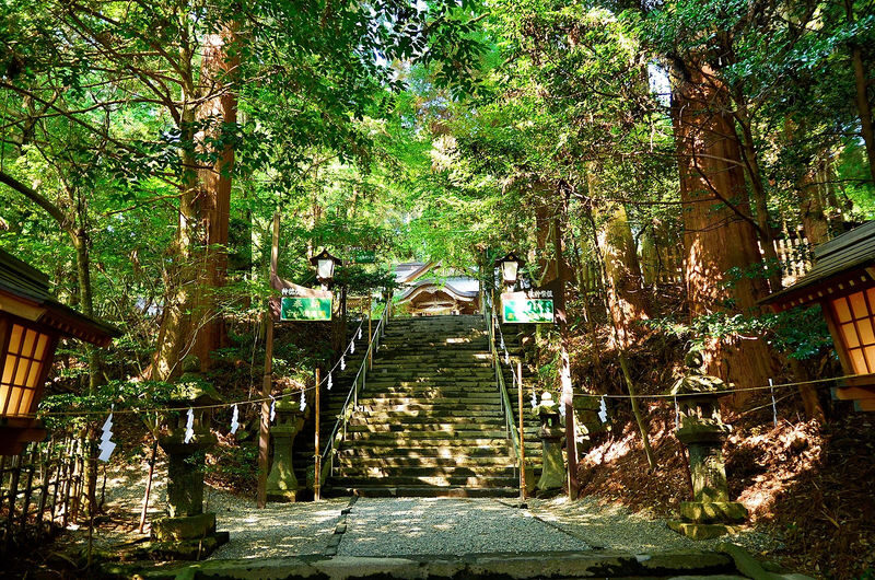 Kumamoto Takachiho Gorge & Mt Aso Day Tour - Is the starting price good value?