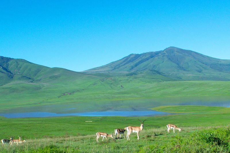 Kumamoto Train Experience Tour | Minami Aso Railway & Mount Aso Volcano & Kumamoto Castle One-Day Tour (Departing from Fukuoka) - Guides, timing, and the practical details