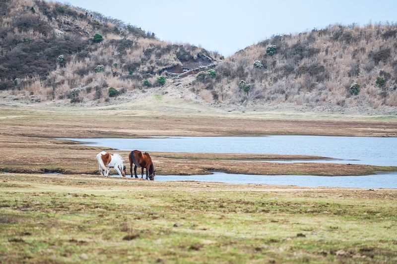 Kumamoto Train Experience Tour | Minami Aso Railway & Mount Aso Volcano & Kumamoto Castle One-Day Tour (Departing from Fukuoka) - Who should book this Kumamoto day trip