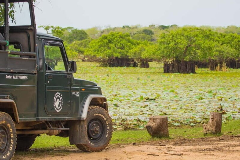 Kumana National Park Half day Jeep safari Morning/Afternoon - Final Thoughts