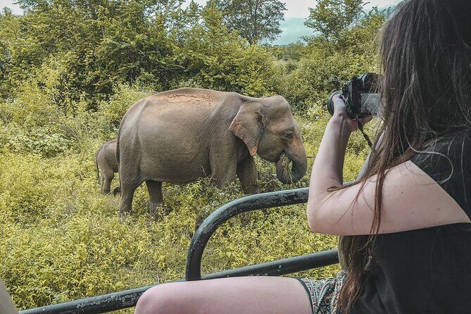 Kumana Safari Drive from Arugam Bay - Key Points