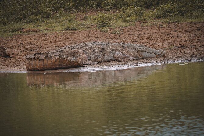 Kumana Safari Drive from Arugam Bay - The Practicalities: Whats Included and Whats Not