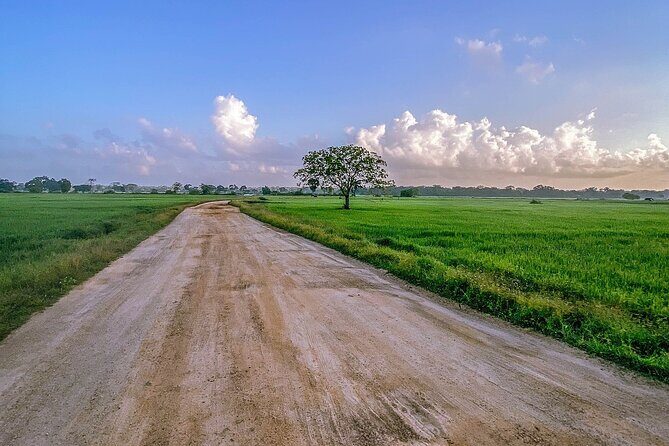 Kumana Safari Drive from Arugam Bay - Who Should Consider This Tour?