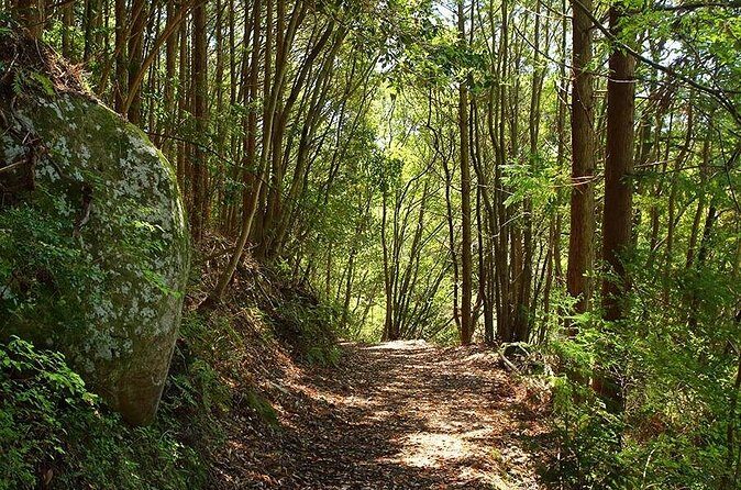 Kumano Kodo 2 Day Tour from Osaka - FAQs