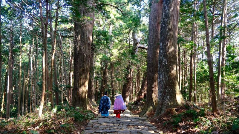 Kumano Kodo 2-Day World Heritage Hiking Tour - At a glance
