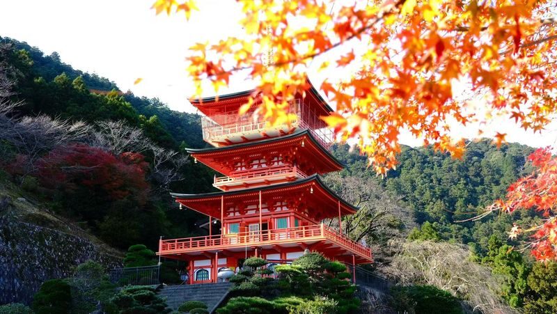 Kumano Kodo 2-Day World Heritage Hiking Tour - Driving between trail sections keeps the trip balanced