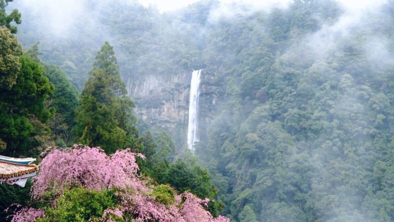 Kumano Kodo 2-Day World Heritage Hiking Tour - Is $227.05 good value?