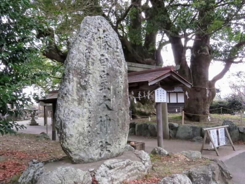 Kumano Kodo: Guided Kiiji Walking Tour in Kainan City - Key Points